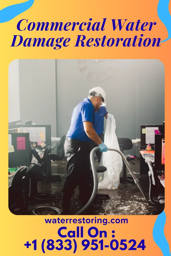 Commercial Water Damage Restoration in Meadow Oaks, FL