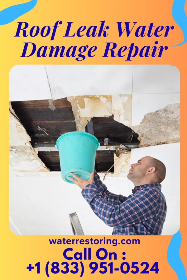 Roof Leak Water Damage Repair in Meadow Oaks, FL